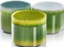 PBT Toothbrush Filament