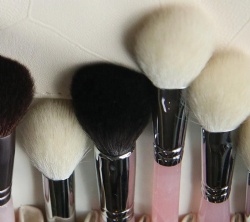 Makeup Brush Kit