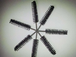 Eyebrow & Eyelash Brush